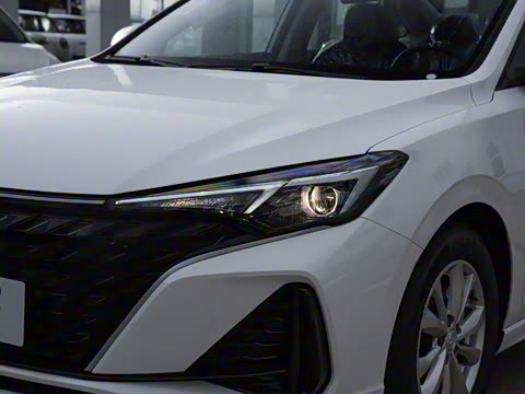 2025�� PLUS 1.5L �ֶ�������