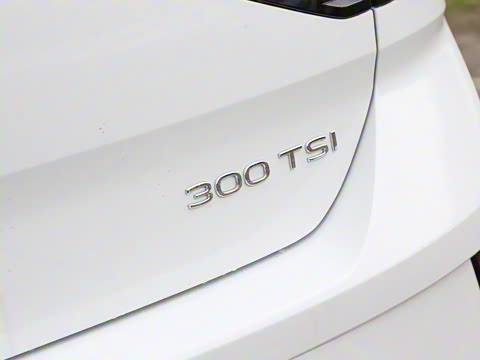 2025�� 300TSI DSG���������