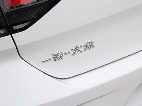 2025�� 300TSI DSG���������