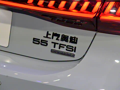 2024�� 55 TFSI quattro �콢��
