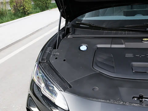 2025�� 505����Plus��