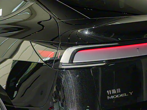 2025�� ����������