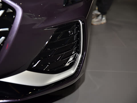 2025�� A3L Limousine 35TFSI �ɳ������� +������ѡ��