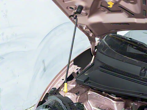 2025�� 205km ���߿�