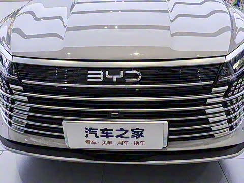 2025�� DM-i 115KM������