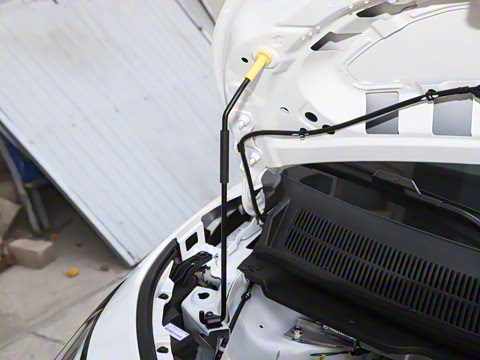 2025�� 420�����