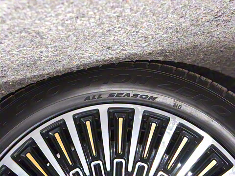 2025�� ����������