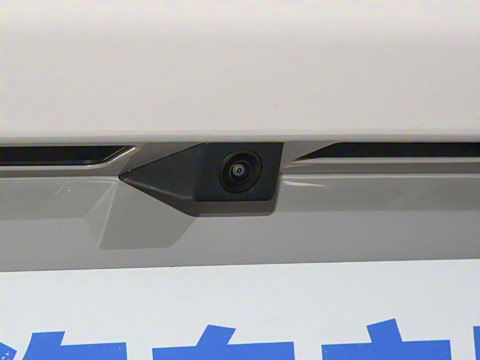 2025�� 135 �����ܼ����״��