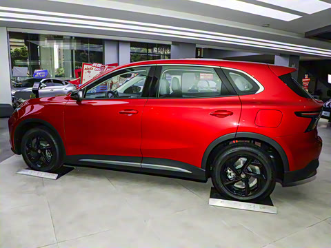 2025�� 425pro ������