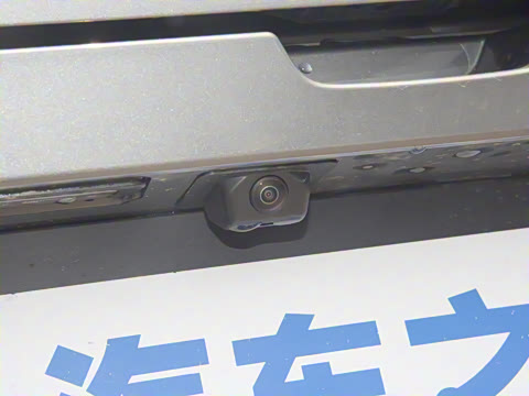 2025�� 1.5T 130km ���� 7��