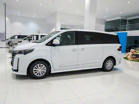 2025�� MAX 2.0T �Զ������� ���� 7��