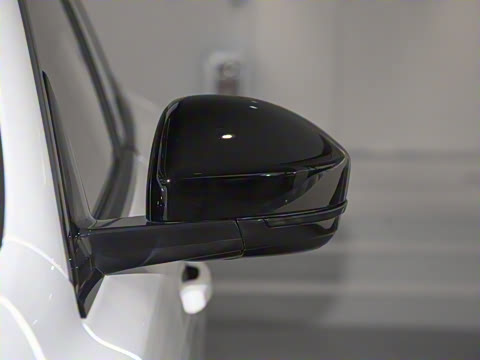 2025�� P250 R-Dynamic SE