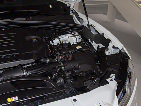 2025�� P250 R-Dynamic SE