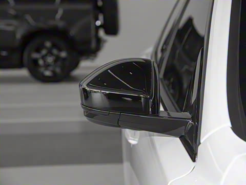 2025�� P250 R-Dynamic SE