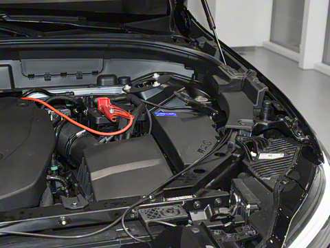 2025�� B5 �������ݺ�����