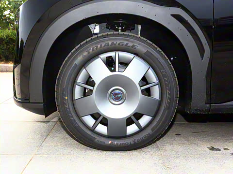 2025�� 305km ������