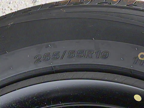 2025�� 550�����Ǽݰ�