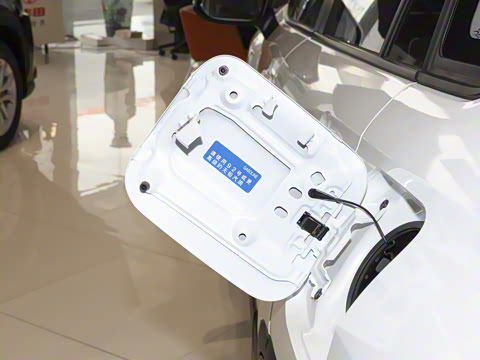 2024�� 2.0L ���ܵ��˫�� ������