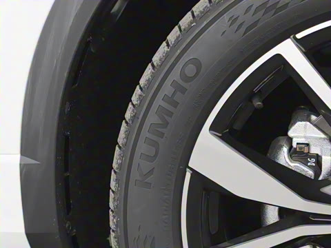 2025�� 300TSI DSG���������