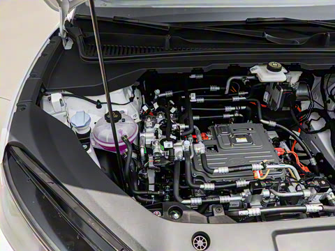 2025�� 520�ǻݰ�