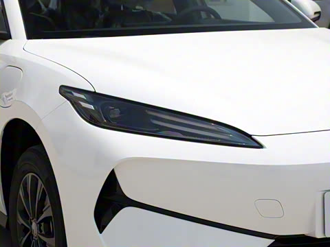 2025�� 520�ǻݰ�