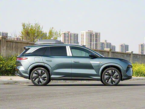 2025�� DM 175KM���˻���Ұ�