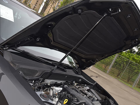 2024�� 35 TFSI RS�׼�ȼ����