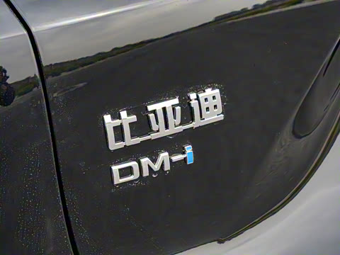 2025�� DM-i �Ǽݰ� 115KM������