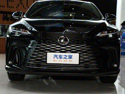 2025�� 300 ����������