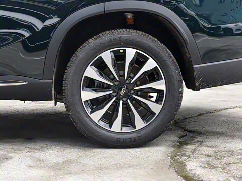 2025�� 290TGDI DCT�˷�� 