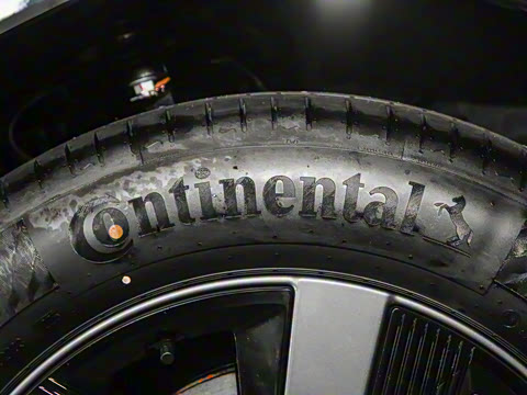 2025�� ����������Plus