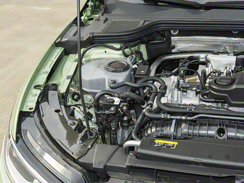 2025�� 300TSI Pro