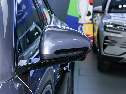 2025�� 505����Plus��