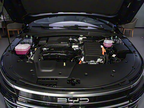 2024�� DM-i 55KM �캽��ҫ��