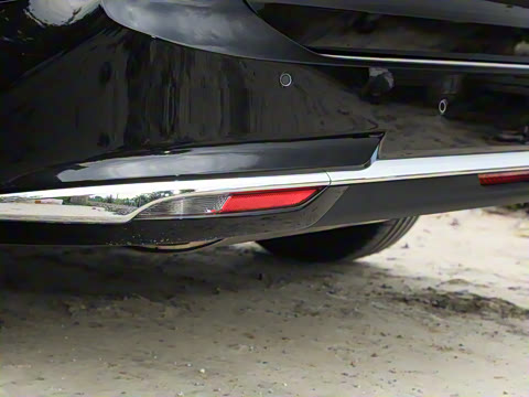 2024�� ���� ��������ɭ�ְ� ����