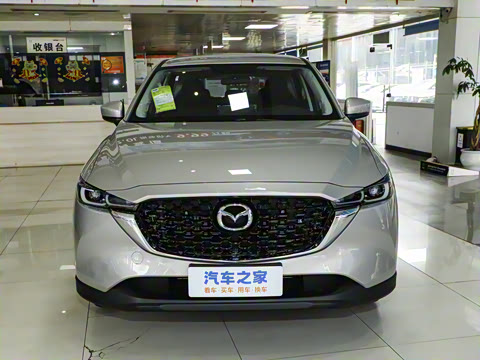 2024�� 2.0L �Զ�����������