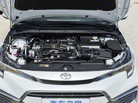 2024�� 2.0L ������