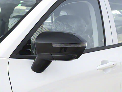 2025�� ������