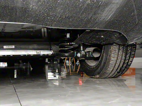 2023�� Younger ��ҫ��