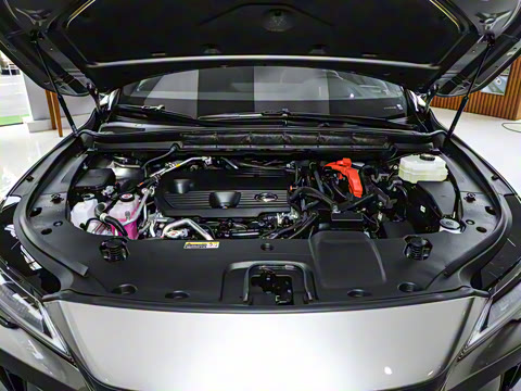 2025�� 450h+ ����������