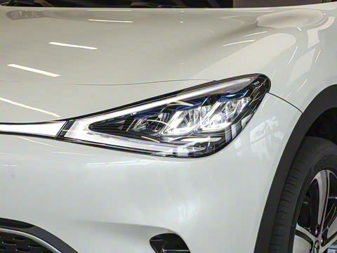 2026�� �鶯������