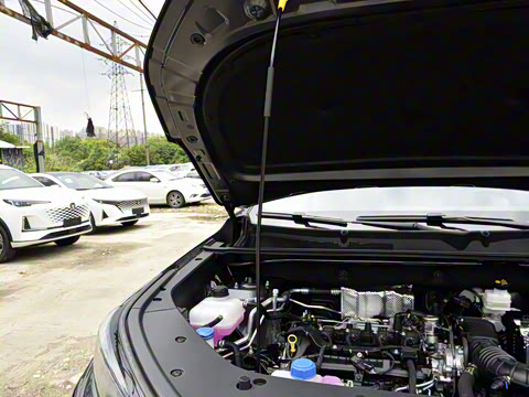 2025�� ������ �ھ��� 1.5T ������