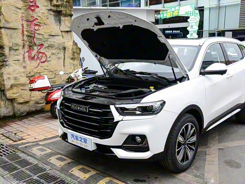 2025�� 1.5T �����ھ���