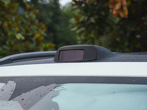 2025�� ������������������