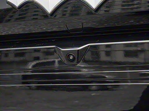 2025�� 501KM ����Max��