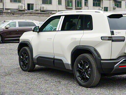 2025�� 501KM ����Max��