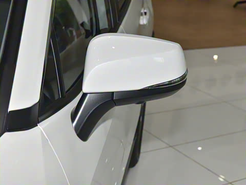 2023�� 2.5L ��������Pro