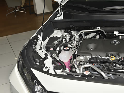 2023�� 2.5L ��������Pro