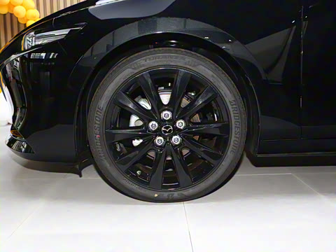 2023�� 2.0L �Զ������