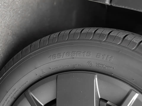 2025�� 305km ������